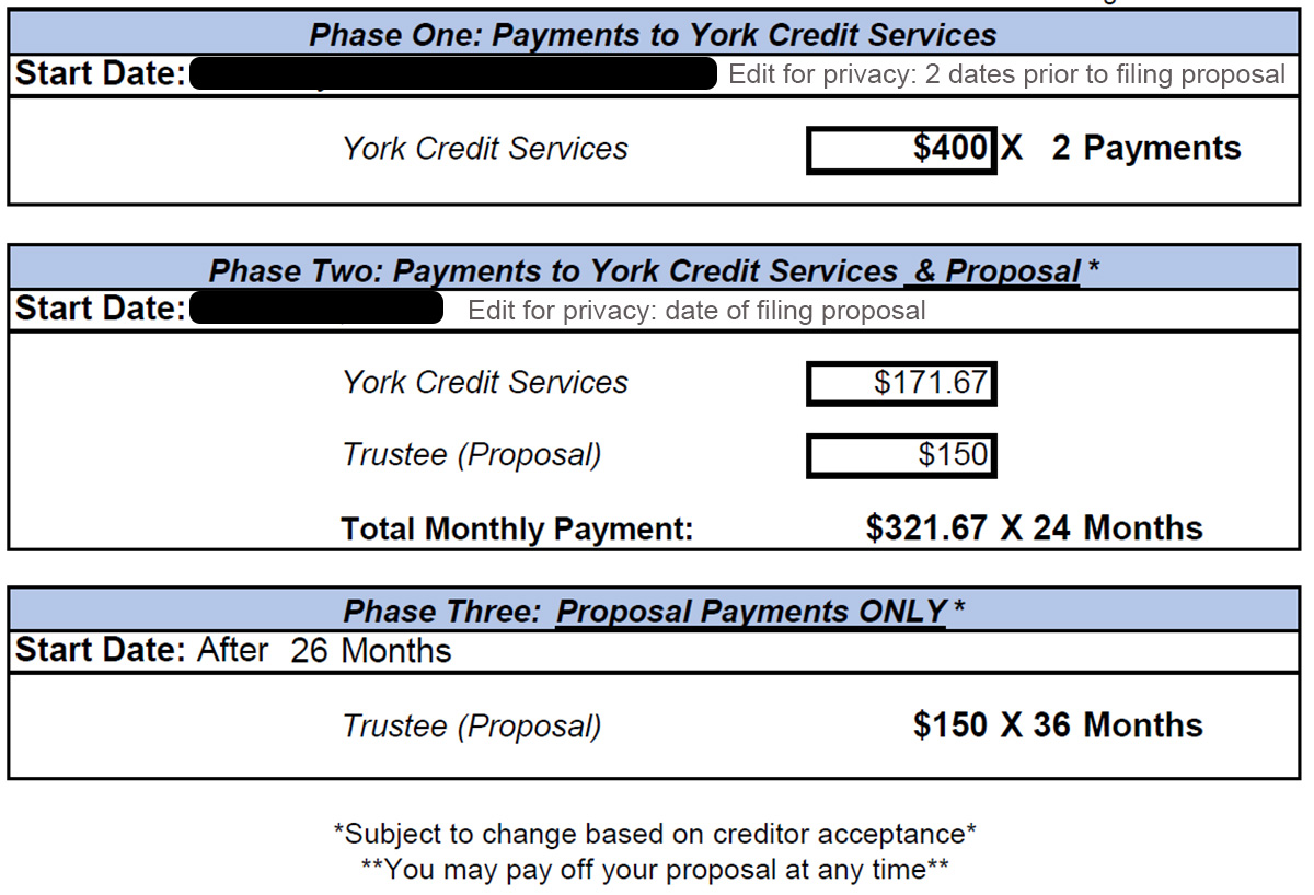 payment plan including york credit fees and proposal costs